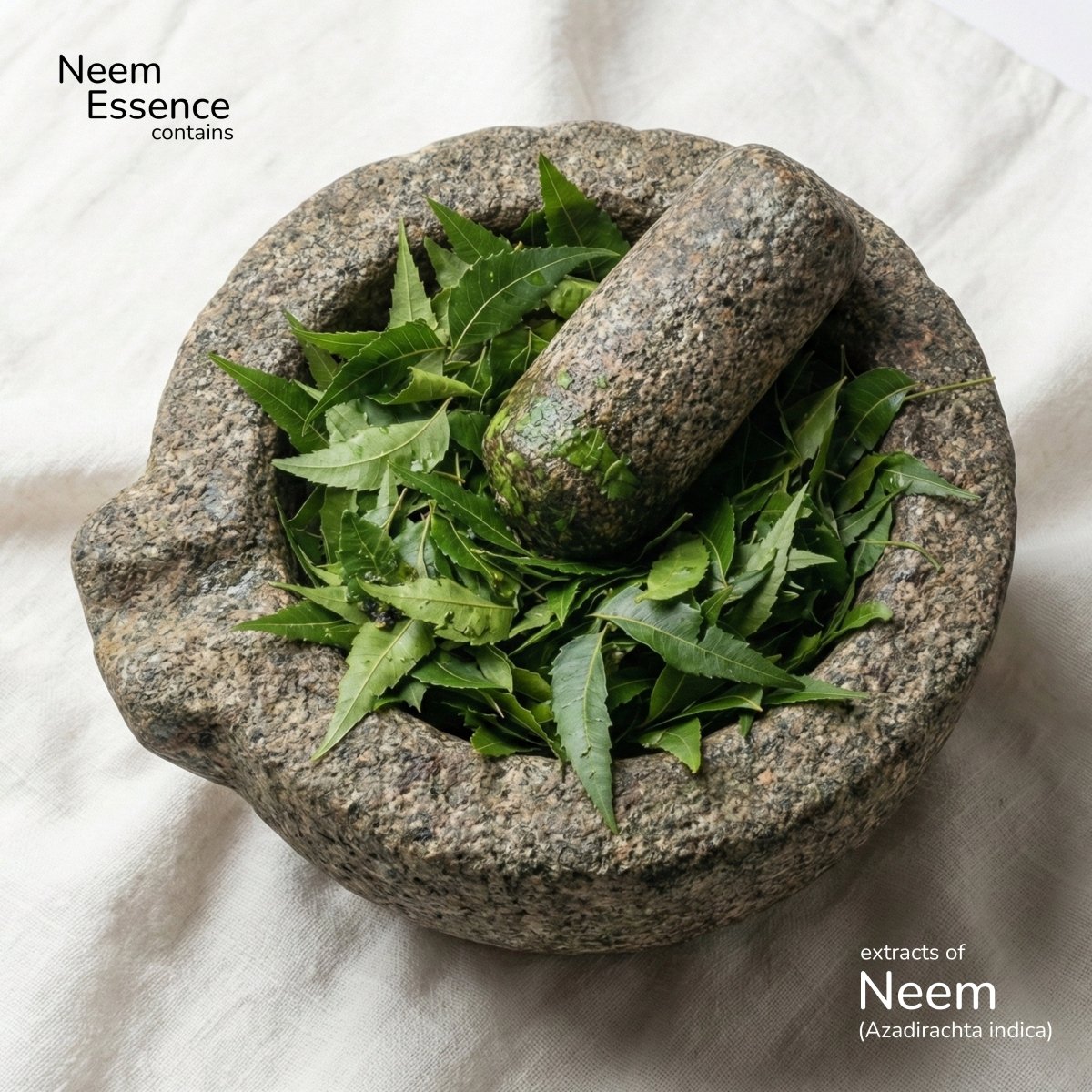 Neem Essence - Leafé Ritual