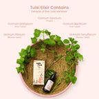 Tulsi Elixir - Leafé Ritual