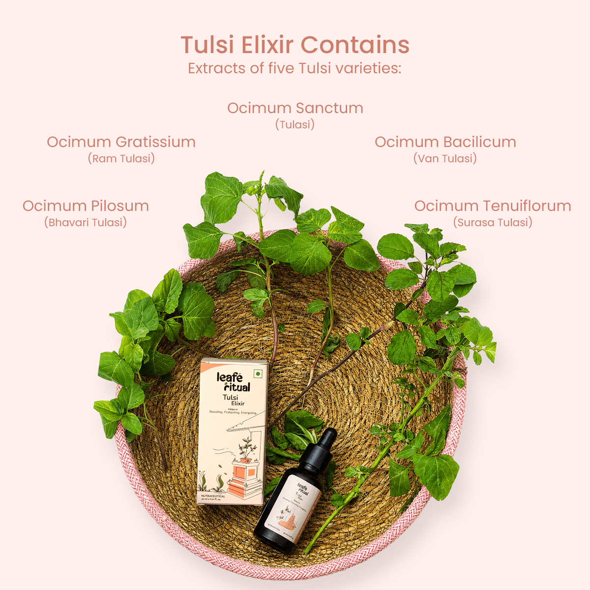 Tulsi Elixir - Leafé Ritual